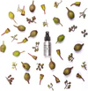Bondi Wash Hand Spray Tasmanian Pepper & Lavender
