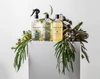 Bondi Wash Bench Spray Tasmanian Pepper & Lavender