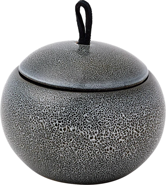 Aquanova Ugo Kosmetikdose Black olive