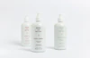 Björk & Berries Herbalist Hand & Body Lotion 