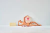 Claus Porto Chic Tulip Wax Sealed Seife