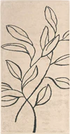 Cawö Handtuch Atelier 6239-37 Beige – Edles Wende-Handtuch mit floralem Muster aus 100 % Baumwolle