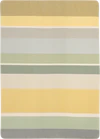 Wohndecke Baumwolle Biederlack Stripe Delight Gelb-Grün