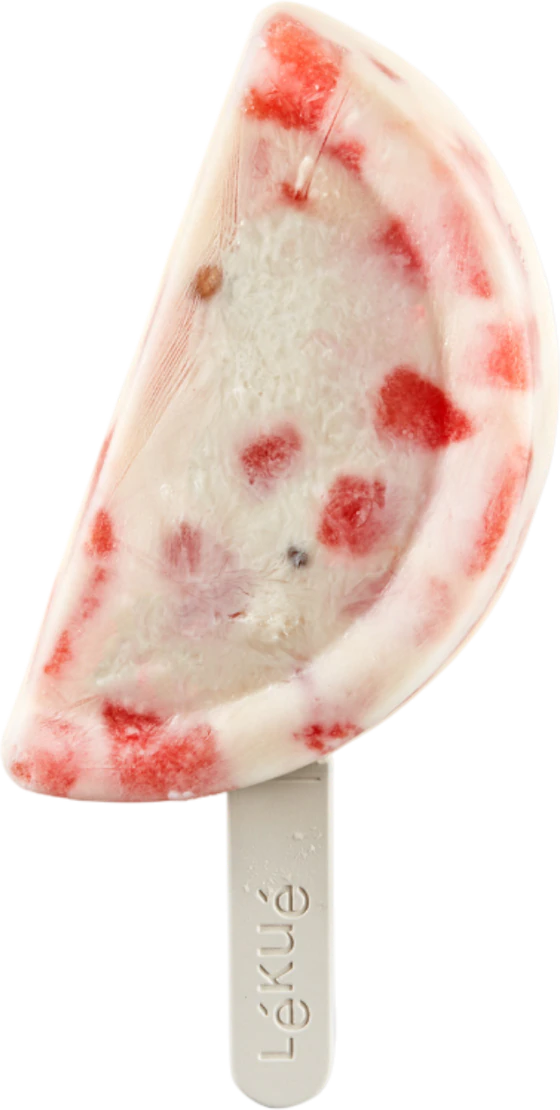 Wiederverwendbare Eisstiele Lekue 20er-Set BPA-frei Weiß