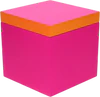 Aufbewahrungsbox MDF Neo S neon pink/orange – GIFTCOMPANY
