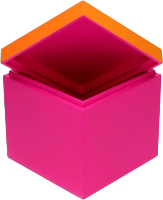 Aufbewahrungsbox MDF Neo S neon pink/orange – GIFTCOMPANY