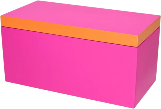Aufbewahrungsbox MDF Neo M Neon Pink Orange GIFTCOMPANY