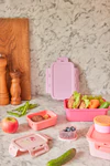 Lunchbox luftdicht Rice by Rice Rosa Wildlife BPA-frei