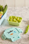 Lunchbox luftdicht Mint Wildlife Small – Rice by Rice