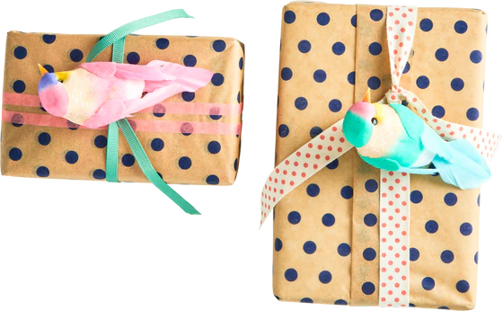 Dekovögel mit Clip Rice by Rice 6 Farben – Kreative Geschenkdeko