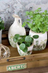 Übertopf Chic Antique Laval Blumendruck Verte Keramik Unikat