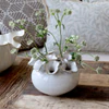 Blumenvase Chic Antique 12-Loch Creme – Vintage Steingut Design
