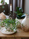 Übertopf Zimmerpflanzen Chic Antique Chaville Creme Keramik Vintage