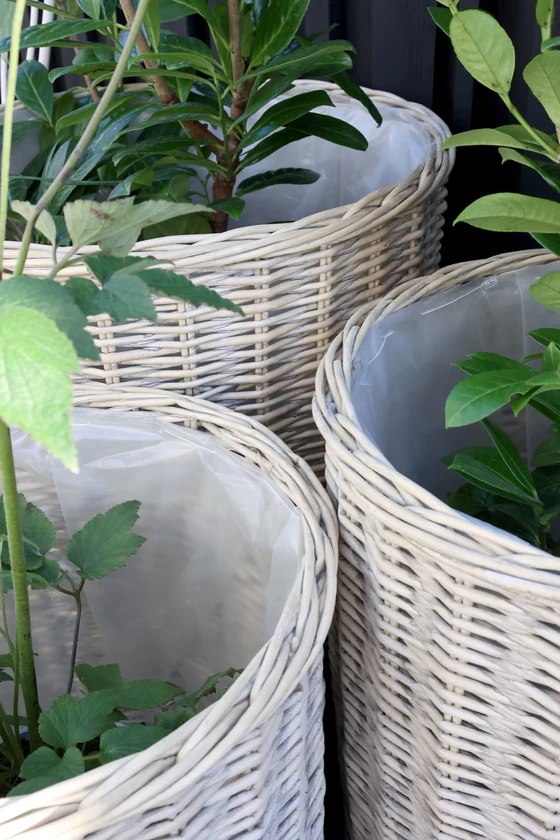 Korb-Set mit Rollen Chic Antique Natur 3er-Set Weide