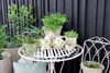 Keramik-Übertopf Chic Antique Olive Creme Olivenmuster 13 cm