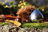 Pillendose Alessi Chestnut-CHB01 Edelstahl – Edles Design