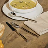 Alessi Besteckserie Clivo-PU10 aus  Edelstahl