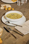 Alessi Besteckserie Clivo-PU10 aus  Edelstahl