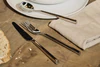 Alessi Besteckserie Clivo-PU10 aus  Edelstahl