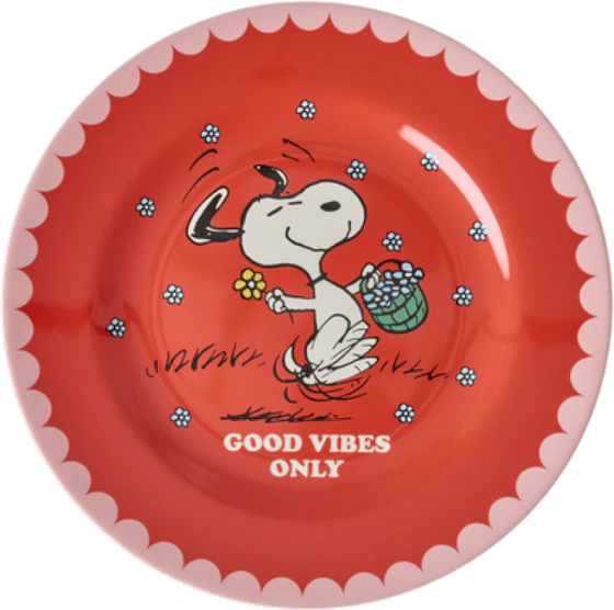 Melamin-Teller Rice by Rice 20cm Rot Snoopy – Bruchfest
